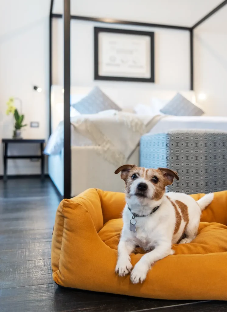 Luxury Stay