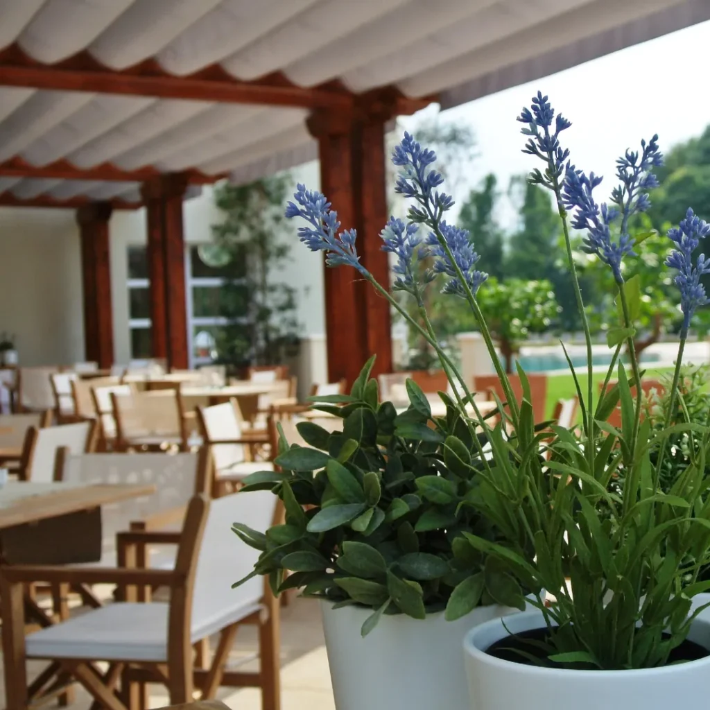 Luce d’Estate – Weekend del 2 Giugno