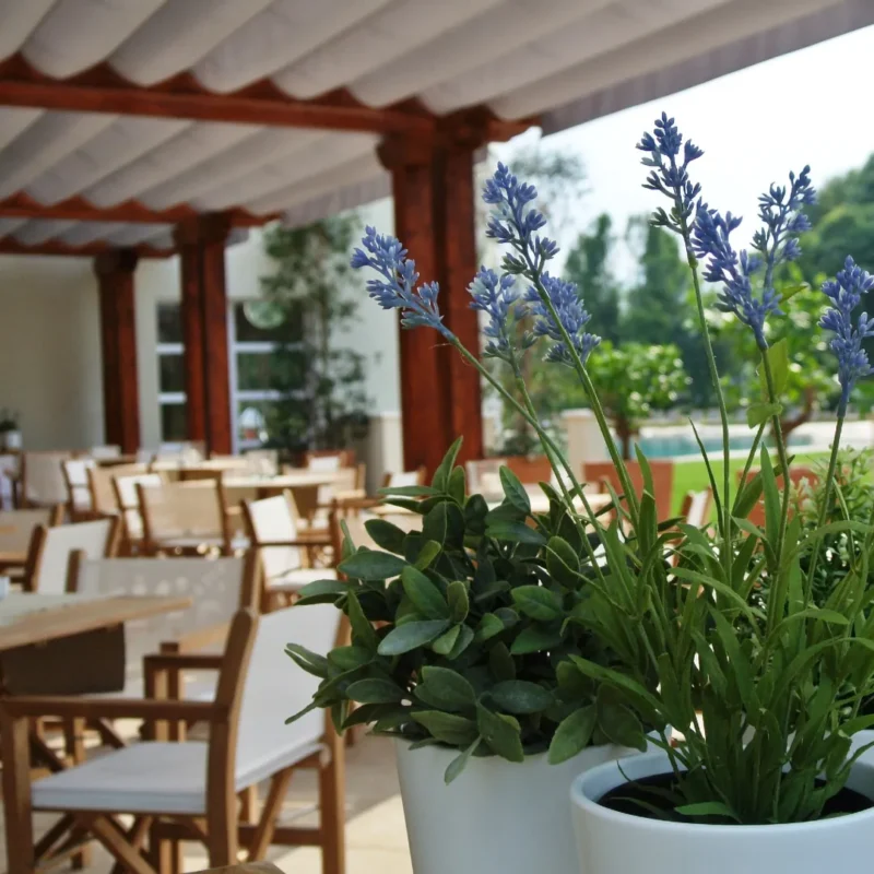 Luce d’Estate – Weekend del 2 Giugno